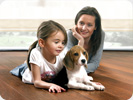 pavimento flutuante quick step